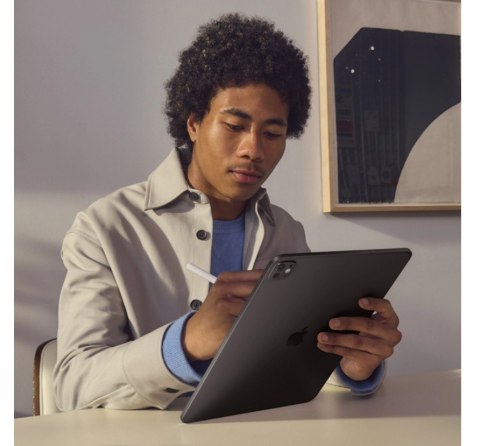 IPad Pro 11-calowy Wi-Fi + Cellular 512 GB ze standardowym szkłem - Gwiezdna czerń