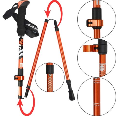 KIJE NORDIC WALKING TRIP W POKROWCU ENERO PRO