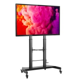 INTELLINET Stojak mobilny TV 60-100