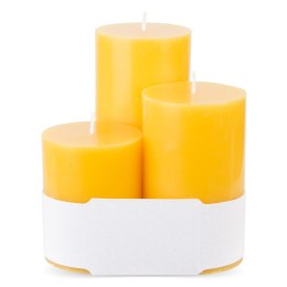Pl Trop. Mango Świeca Glass Classic 3-Pack Walec ART-POL