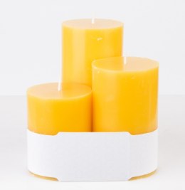 Pl Trop. Mango Świeca Glass Classic 3-Pack Walec ART-POL