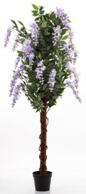 Drzewko Dekoracyjne Wisteria ART-POL