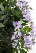 Drzewko Dekoracyjne Wisteria ART-POL