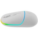 CANYON Mysz bezprzewodowa MW-22 2w1 RGB Biała
