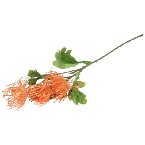 PROTEA gałązka 3 kwiatów dodatek kolor pomarańczowy