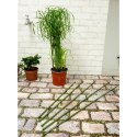 PODPORA TYCZKA DO ROŚLIN 6SZT 50-80CM KINZO