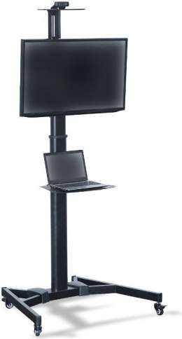 Uchwyt do TV DIGITUS DA-90370 (nośność 50kg /37 - 70 cali)