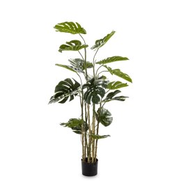 Roślina Dekoracyjna Monstera ART-POL