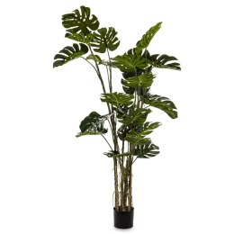 Roślina Dekoracyjna Monstera ART-POL