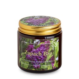 Pl Świeca Sojowa 120 Ml Bez ART-POL