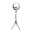 Lampa pierścieniowa NEEWER RP19H z uchwytem na telefon
