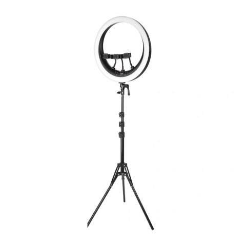 Lampa pierścieniowa NEEWER RP19H z uchwytem na telefon