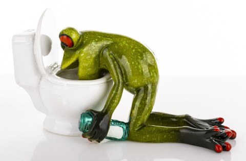 Figurka Żaba ART-POL