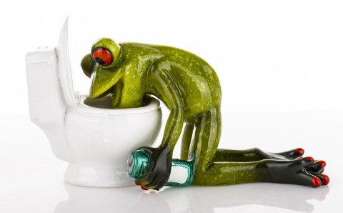 Figurka Żaba ART-POL