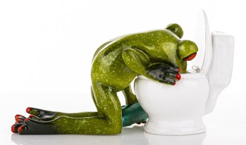Figurka Żaba ART-POL